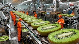 Inside the Kiwi Factory: From Fresh Fruit to Premium Syrup (Full Process)