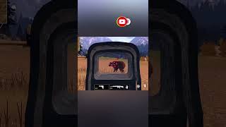 American Marksman-Gameplay Walkthrough short~Hunting Bear With Hand Gun~(iOS,Android)