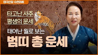 태어난 월로 보는 '범띠 평생의 운세' / 사주의 타고난 여러가지 특징들 [1월생~12월생]