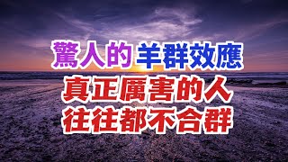 愚者合群，智者同頻。驚人的羊群效應，真正厲害的人，往往都不合群