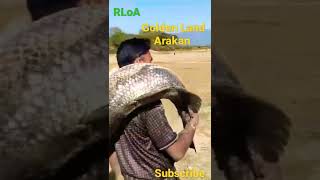 Rohingya Fisher Man