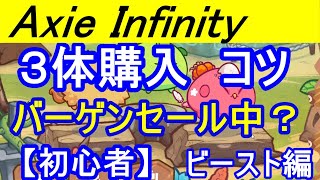 Axie Infinity 初心者　ビースト購入方法