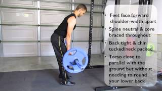 Supinated Grip Bent Over Barbell Row