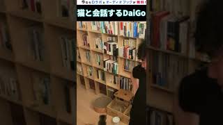 【DaiGo】ついに、猫との会話に成功するメンタリスト【切り抜き/メンタリストDaiGo】 #Shorts