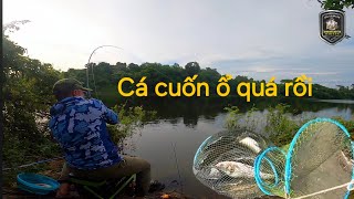 Câu cá Suối Rao bằng lò xo chế, cá cuốn ổ không muốn về ||