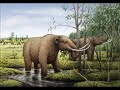 extinct mammals the american mastodon