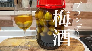 美味しい！！外で酒類禁止なら自家製【梅酒】を作ろう♪初めてのブランデー入り梅酒