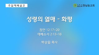 2024.7.28 | 성령의 열매 - 화평 | 잠언 12:17~20 에베소서 2:13~18 | 박승일 목사