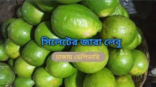 সিলেটের জারা লেবু ঢাকায় ডেলিভারি | Sylheter jara lebu dhaka delivery | লেবুর পাইকারি ব্যবসা