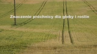 Znaczenie próchnicy dla gleby i roślin