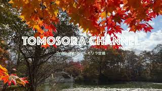 【ドローン絶景探訪】大沼公園 Onuma Quasi-National Park –2023秋–