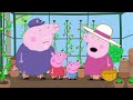 peppa pig français 🔬 le cours de science compilation spéciale dessin animé pour bébé