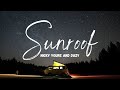 Nicky Youre | Sunroof feat. Dazy | 1 HOUR LOOP