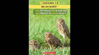 🦉 उल्लू और ताकतवर बच्चा | facts | general knowledge | #shorts #shortvideo #shortsfeed