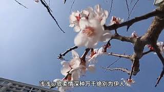 4月24日，吉林市 疫情封城管控第54天，记录百姓生活