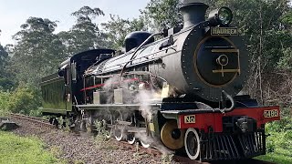 Umgeni steam railway 3BR No. 1486 Maureen