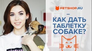 КАК ПРАВИЛЬНО ДАТЬ СОБАКЕ ТАБЛЕТКУ? САМЫЙ ЛЕГКИЙ СПОСОБ!