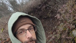 AMAZING Frontier ROOT CELLAR!  BEGINNING a winter SHELTER. A LIVE chat, fire, and hot chocolate