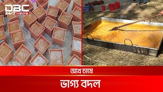 খাগড়াছড়িতে তৈরি হচ্ছে নির্ভেজাল আখের গুড় | DBC News Special