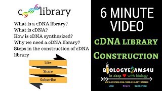 cDNA Library Construction Steps and Advantages (6 minutes)