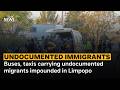 Buses, taxis carrying undocumented migrants impounded in Limpopo