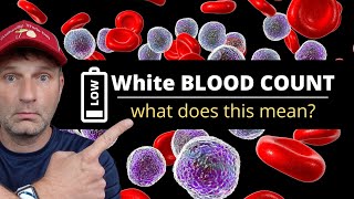 Low White Blood Count | What does this mean?