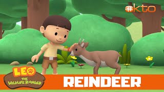 Help Baby Reindeer Find Its Mother 🦌 | NEW| Leo the Wildlife Ranger | Kids Cartoon| @Mediacorp okto