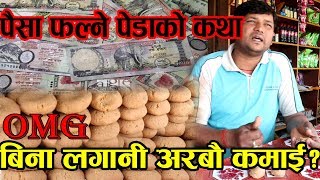 बाजेको पेडाको कथा|पेडामै पैसा फलेपछी बने अरबपती|सबै नेपालीले हेर्नुस्|GOOD TV ||