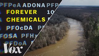 How “forever chemicals” polluted America’s water