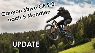 Canyon Strive - Meine Meinung nach 5 Monaten fahren - Strive CF 9.0 2018