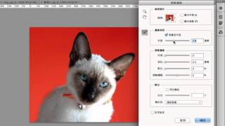 PhotoshopCS5：調整邊緣.mp4