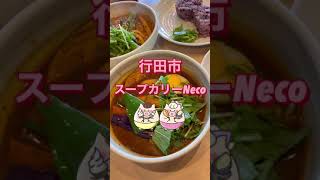 行田 スープカリーNeco(ネコ)でランチ！ゴロゴロ野菜のヘルシーカレーが絶品♪