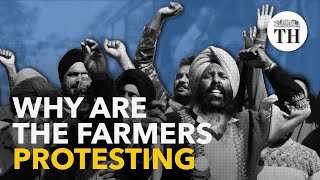 Why are the farmers protesting?