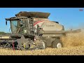 GLEANER S97 Combine Harvesting Wheat