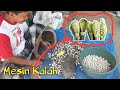 Alat Tradisional Pemecah Cangkang Keras Biji Kemiri