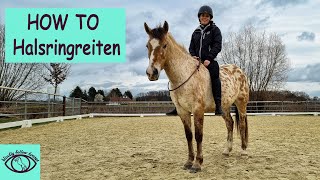 Reiten mit dem Halsring! So fängt man an! How To