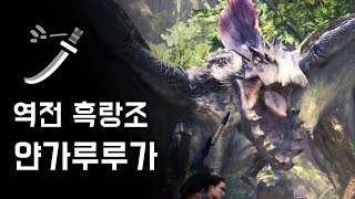 [MHW:IB] 태도 역전 흑랑조 | M★6 상처 입은 얀가루루가 사냥