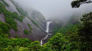 Walk through Senpiro Falls with a head of 60m on Yakushima, where the rock surface is attractive.