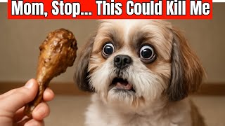 25 Everyday Foods That Silently Kill Your Dog - You Feed Them Without Realizing It