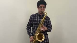 テナーサックス Selmer（セルマー）SELES AXOS