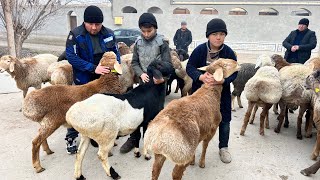 BISHKEKDAN 1-Qol BOQMA QOCHQORLAR KELDI SHOSHILING