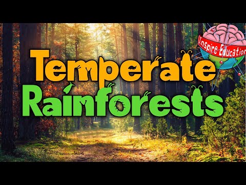 What is an example of parasitism in the temperate rainforest?