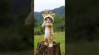 cute cat funny dance #catdance #catdancer #shorts  #shortvideo #kitten #trending #猫ダンス #踊る猫