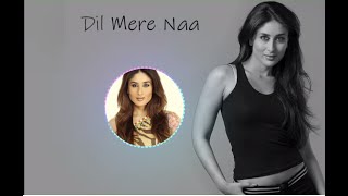 Dil Mere Naa || Kareena Kapoor and Shahid Kapoor || Fida || Udit Narayan & Alka Yagnik