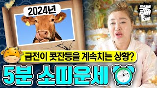 미리보는 2024년 5분 소띠운세!! 나랑 연관되어있는 유산을 받을 수 있는 상황이다?!