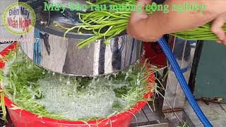 Máy bào rau muống công nghiệp