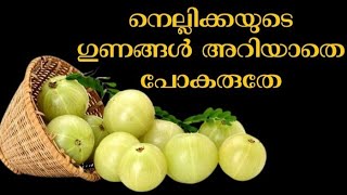 നെല്ലിക്കയുടെ ഗുണങ്ങൾ/ Benefits of Gooseberry