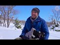 winter shepherding struggle in the mountains the tough breeding period documentary