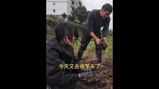 #越南媳妇 #我的乡村生活 #我为家乡农产品代言 #电商助农