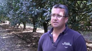 Maximising orchard productivity through orchard floor management